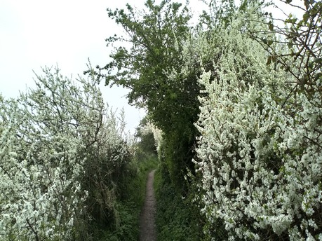 where we all are.... to know - more confident, calm and composed.